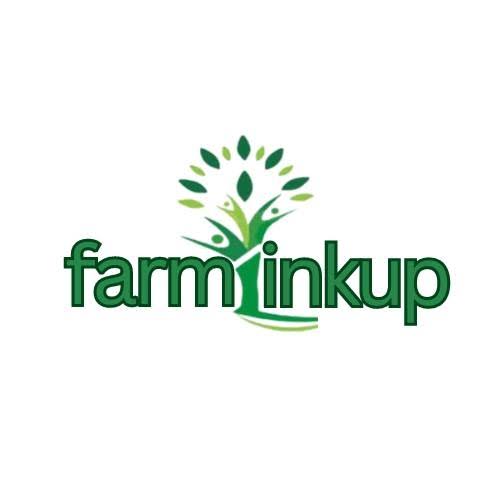 Nigerian Platform Farmlinkup Set to Revolutionize Farm-to-Table Connections for Growers and Buyers